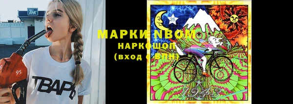шишки Абинск